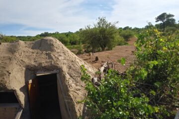 Wildlife Viewing Siduli Hide