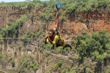 Flying Fox