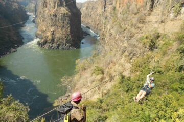 Canopy Tour