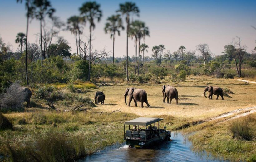 5 Day Victoria Falls and Chobe National Park
